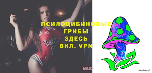 метамфетамин Алексин