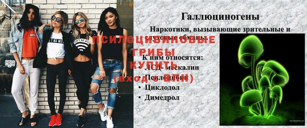 ПСИЛОЦИБИНОВЫЕ ГРИБЫ Протвино