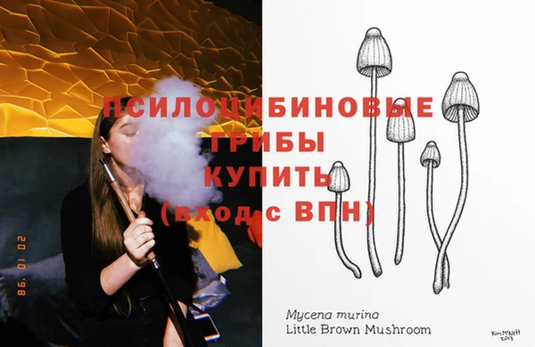 спиды Алзамай