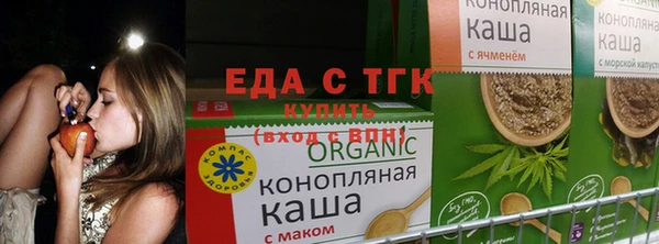 спиды Алзамай