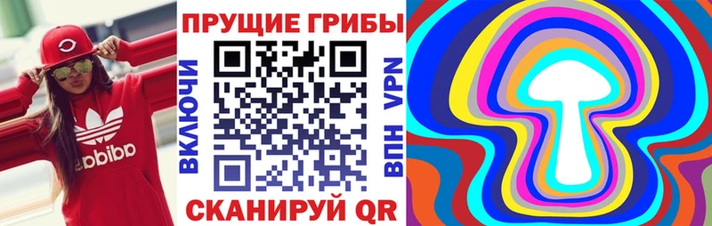 ссылка на мегу ссылка  купить закладку  Покров  Псилоцибиновые грибы Cubensis 